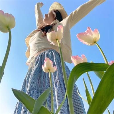 小鸟会走路